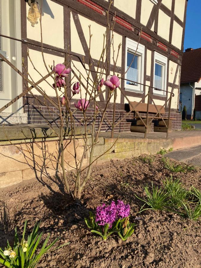 Pferdefairstand'S Ferienwohnung Haunetal Kültér fotó